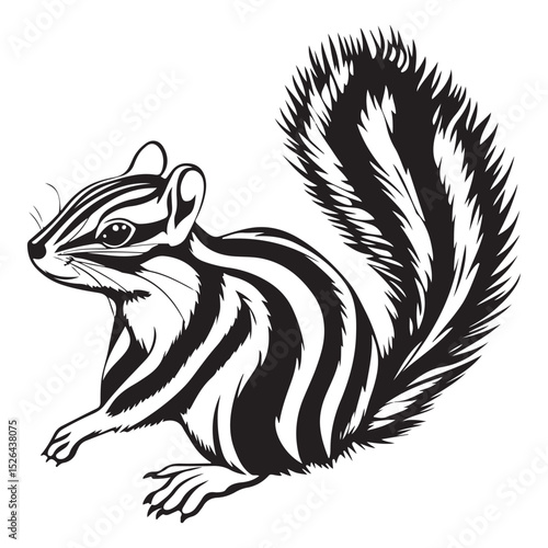 Siberian chipmunk is standing on the ground