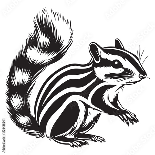 Siberian chipmunk is standing on the ground