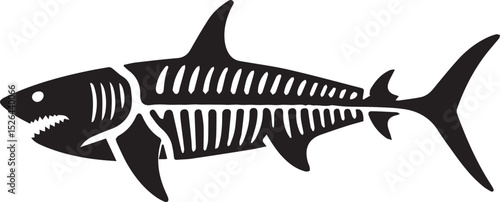 Shark Skeleton Illustration Silhouette