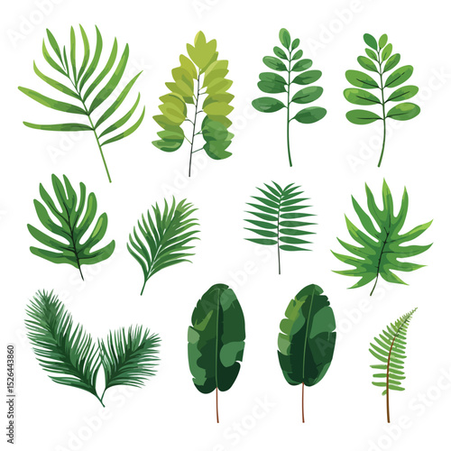 Detailed View of Tropical Plant Branch and Leaves - Botanical Illustration for Design Projects