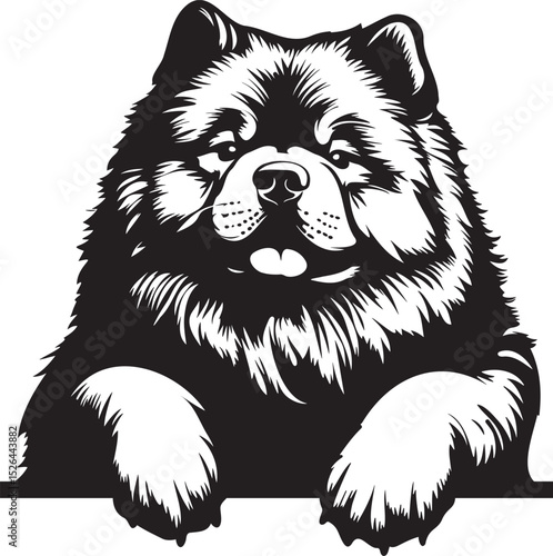 peeking Chow Chow dog with paws