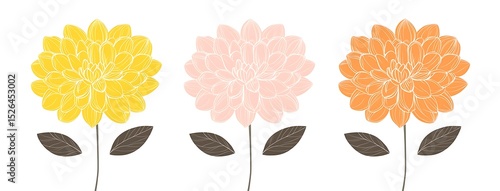 three chrysanthemum flowers in pastel yellow, pink, and orange on a white background