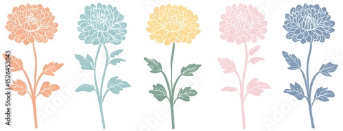 three chrysanthemum flowers in pastel yellow, pink, and orange on a white background