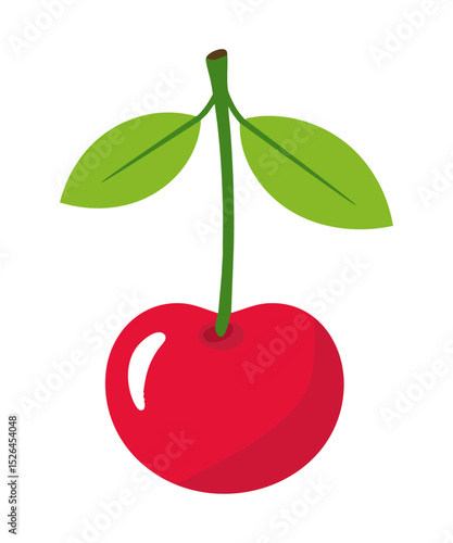 Czereśnia wiśnia ilustracja