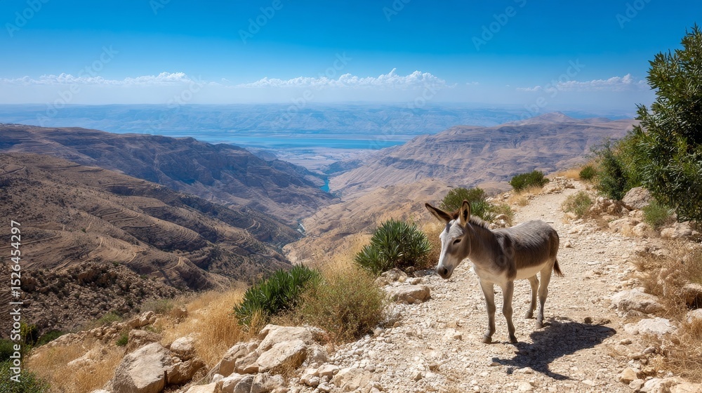 Obraz premium Donkey on mountain path overlooking majestic valley with clear blue sky