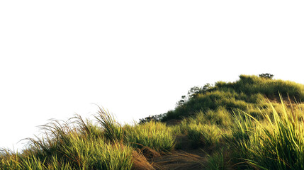  hill covered in lush green grass isolated on white background