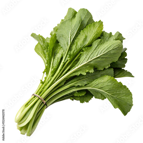 Bunch of mustard greens tied with twine isolated on transparent background