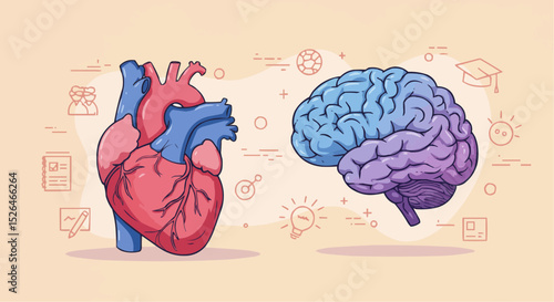 human brain anatomy vector