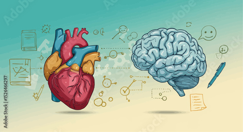 anatomy of human brain