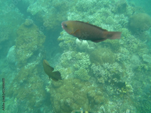 Bali and Singapore 2 