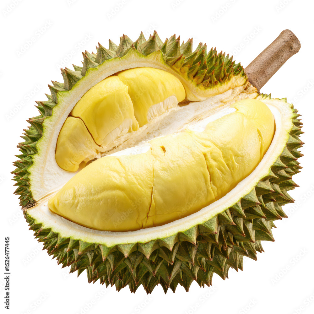 Fototapeta premium Realistic PNG Fresh Durian