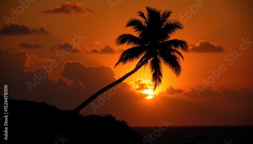 Sunset action over tropical palm tree beach location nature landscape warm environment serene viewpoint