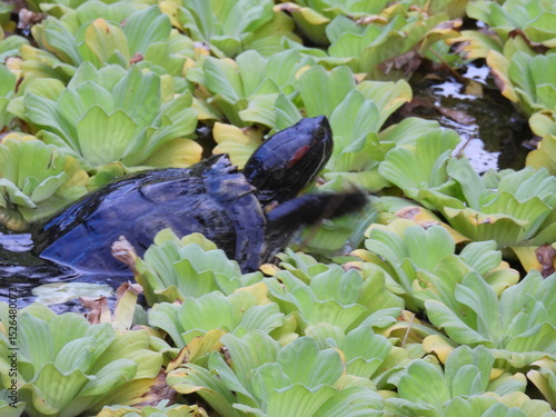 Bali and Singapore 1 