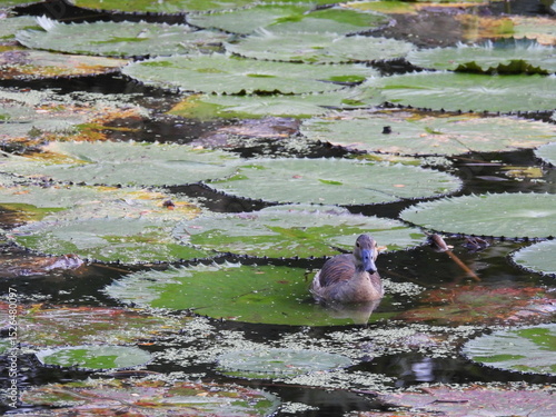 Bali and Singapore 1 