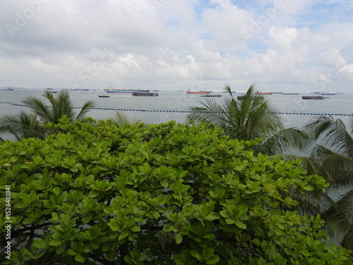 Bali and Singapore 1 