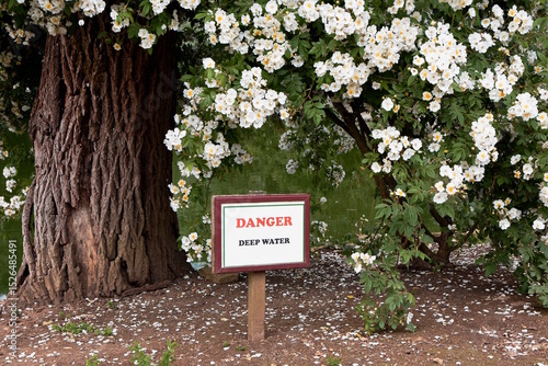  A warning sign posted near a pond. Danger. Deep water and advises keeping away from the edge. White flowers and summer foliage surround the area.
