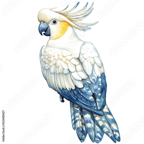 Cockatoo, watercolor drawing vector, high quality, isolated on a white background.