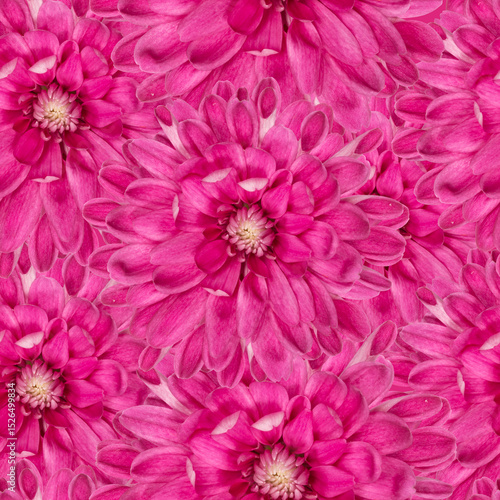 Seamless pattern of vibrant pink flowers with intricate petal details