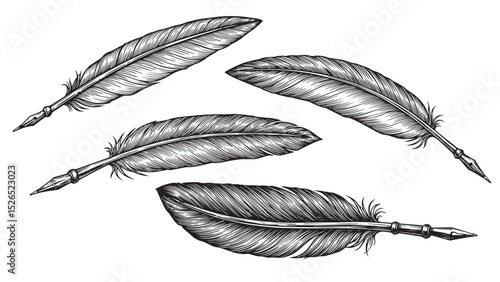 Engraved feather quill pen elegant writer tool vintage bold-line traditional old illustration design