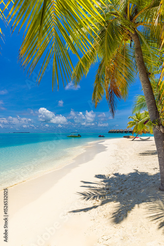 Fototapeta Naklejka Na Ścianę i Meble -  Scenic tropical beach paradise on exotic island. Relaxing palm trees sunny sea sand sky. Luxury summer vibes perfect travel destination for honeymoon coastal adventures. Majestic best tourism nature