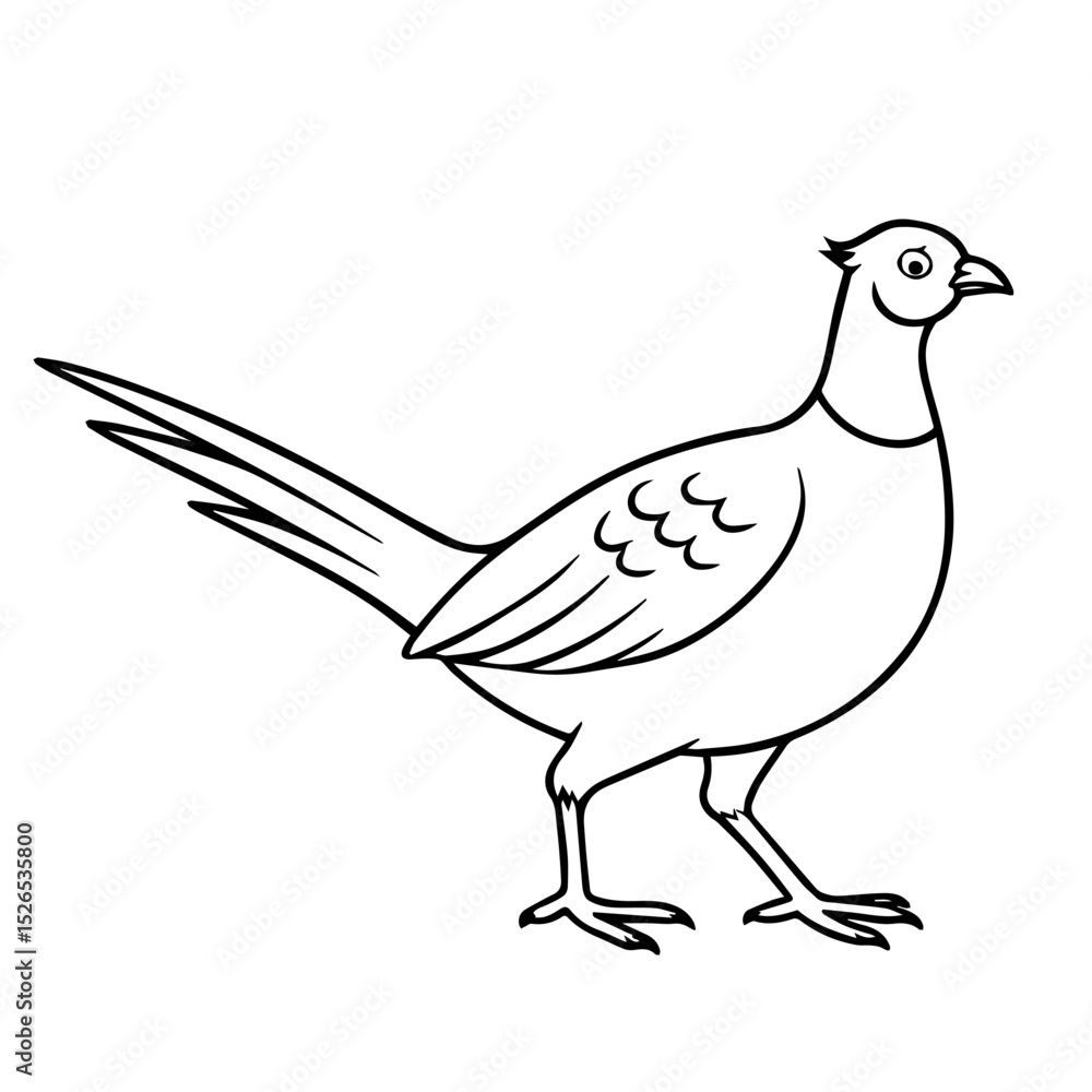 Fototapeta premium pheasant vector realistic line icon on white background Vector line icon animal, wildlife