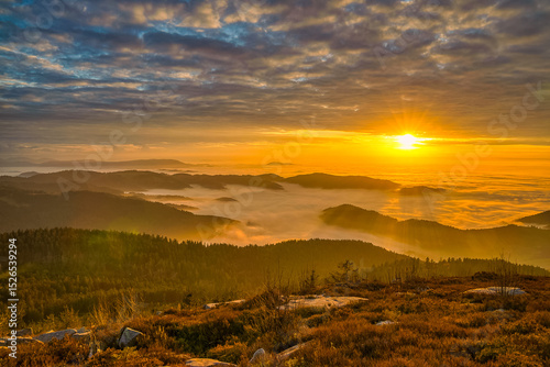 Schwarzwald