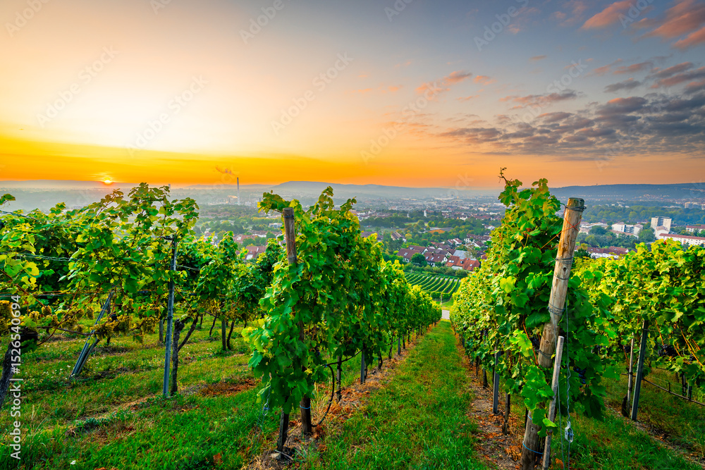 Naklejka premium Schwarzwald