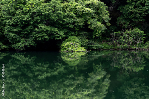 緑に囲まれた草木湖の静かな湖面