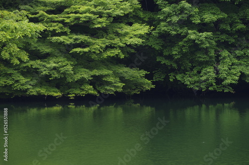 緑に囲まれた草木湖の静かな湖面