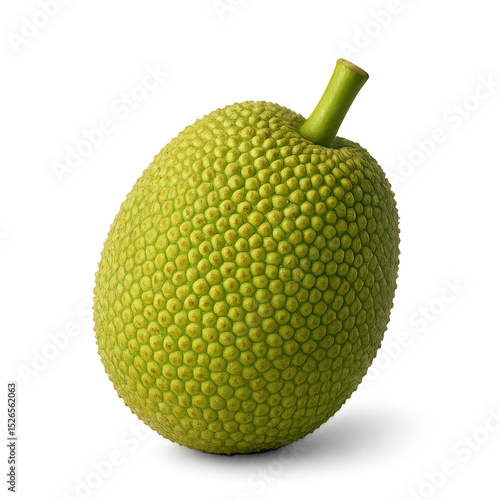 Fresh whole raw green jackfruit with bumpy texture. This healthy tropical fruit, vibrant and natural food, sits isolated, perfect for culinary use