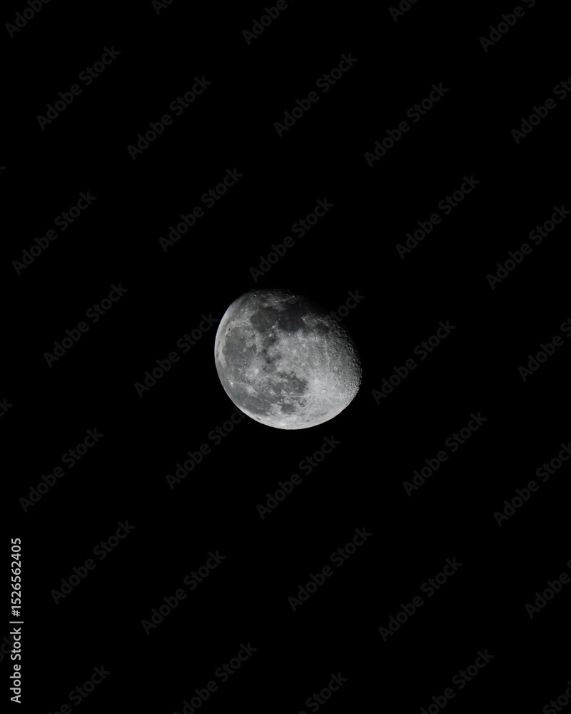 Fototapeta premium moon