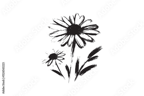 Wallpaper Mural Daisy flower ink sketch minimalist black on white vector illustration Torontodigital.ca