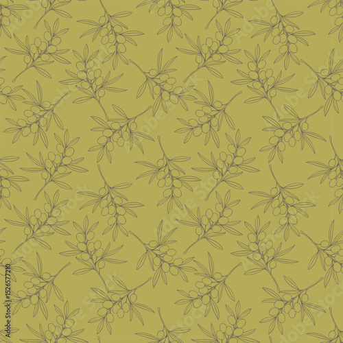 Pattern with Olives fruits, light outline olive branches. Vector illustration
