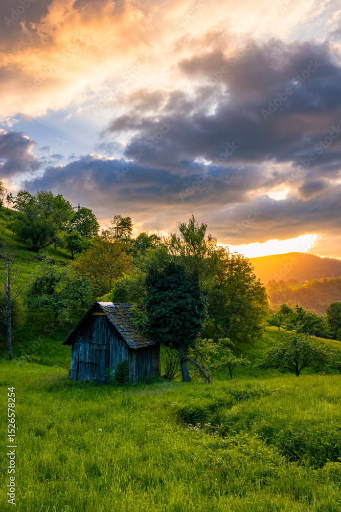 Obraz premium Schwarzwald