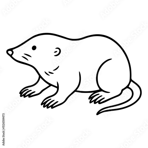 mole vector realistic line icon on white background
Vector line icon animal, wildlife