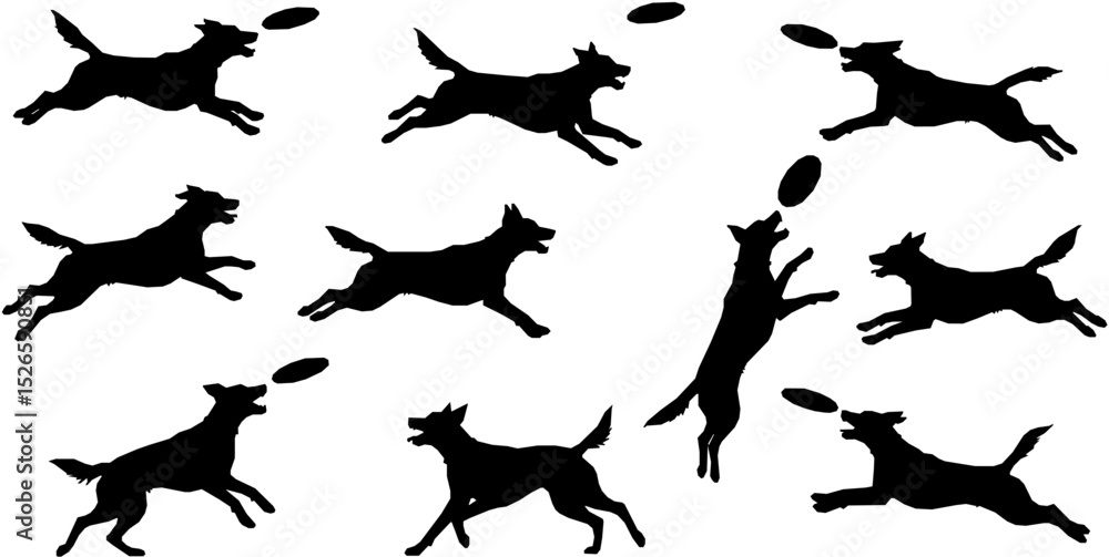 Fototapeta premium Set of frisbee dog silhouettes on white background. Dog catches the disc silhouette vector illustration 