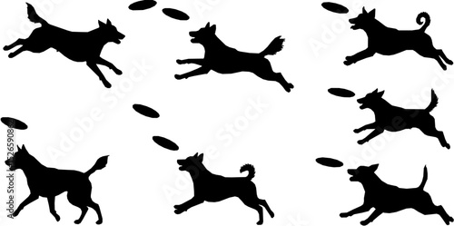 Set of frisbee dog silhouettes on white background. Dog catches the disc silhouette vector illustration

