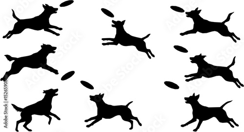 Set of frisbee dog silhouettes on white background. Dog catches the disc silhouette vector illustration
