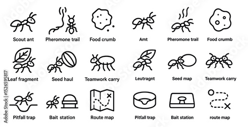 Ant behavior icons collection for educational and design use