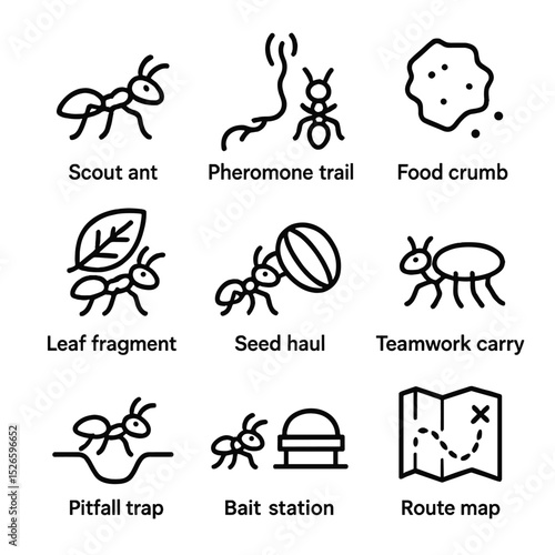 Ant Foraging Icons. Outline icon set of foraging behavior: scout ant, pheromone trail, food crumb, leaf fragment, seed haul,