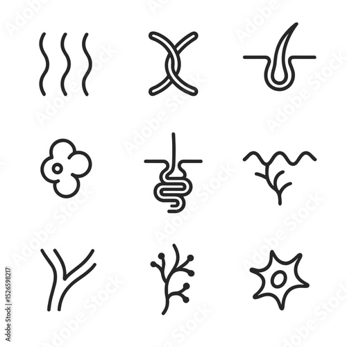 Dermis Icon Set. Outline icon set of dermis components: collagen fiber, elastin fiber, hair follicle, sebaceous gland, sweat gland