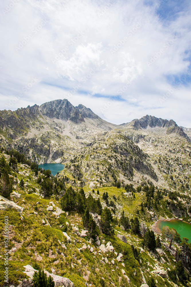 Naklejka premium Summer landscape in Vall de Boi in Aiguestortes and Sant Maurici National Park, Spain
