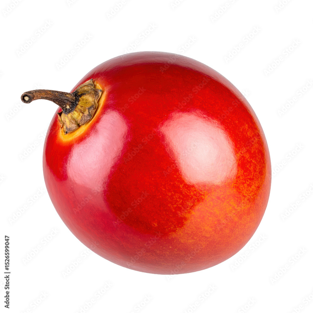 Obraz premium Realistic PNG Tamarillo with Bri