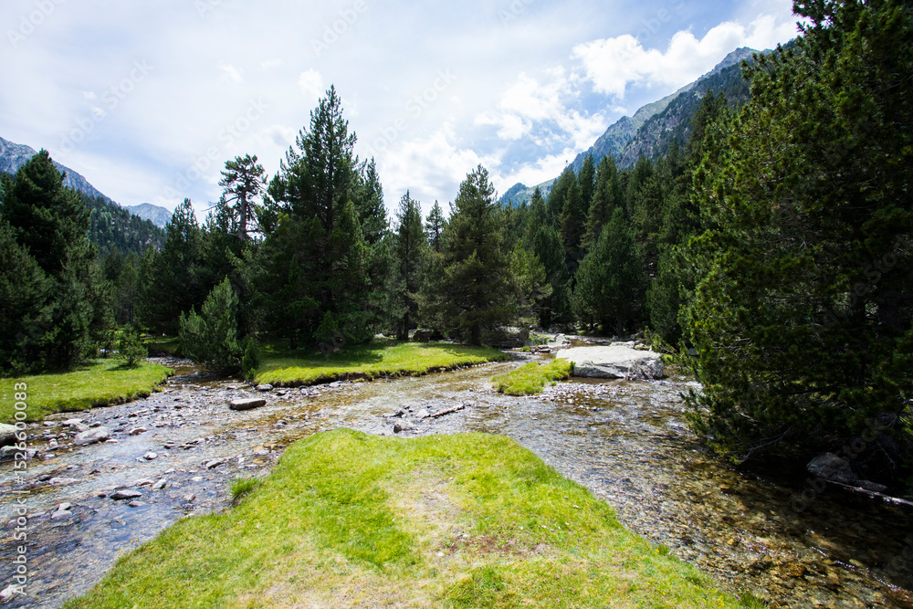 Obraz premium Summer landscape in Vall de Boi in Aiguestortes and Sant Maurici National Park, Spain