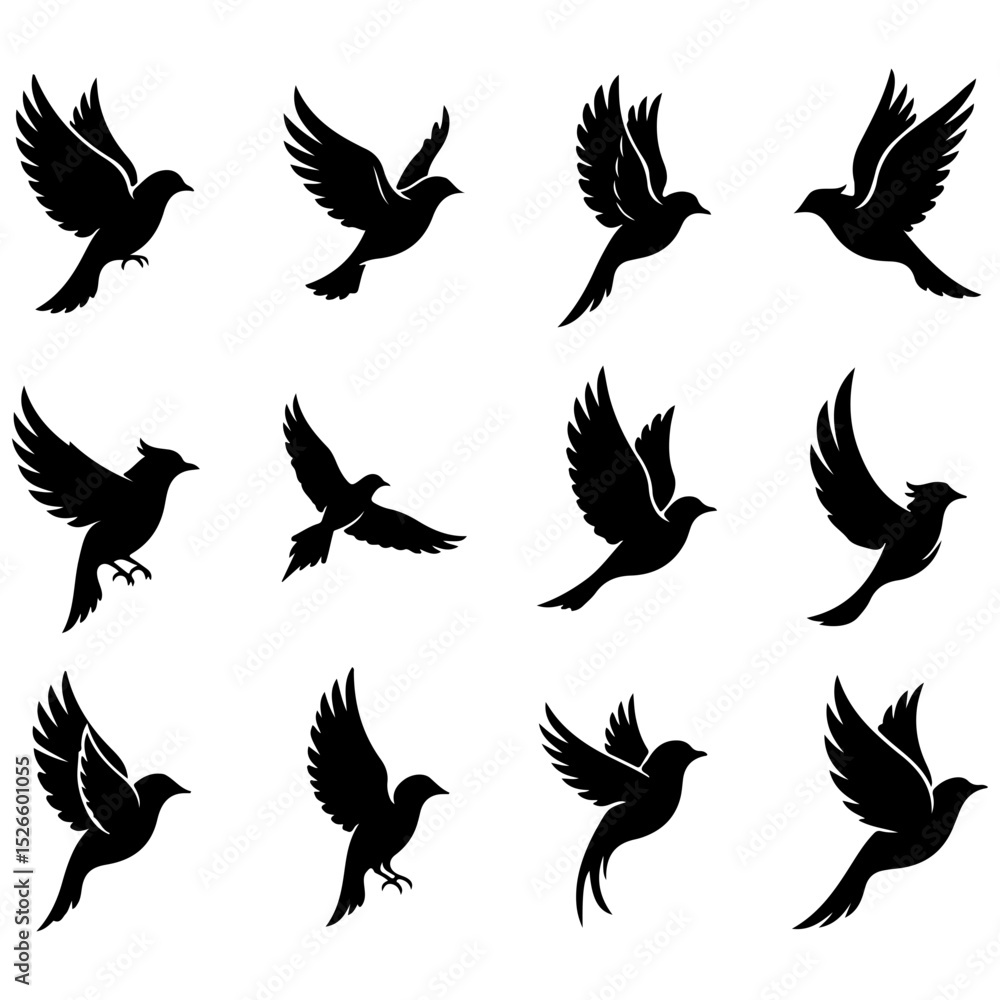 Fototapeta premium A premium, well editable collection of birds for storytelling and fairytale themes