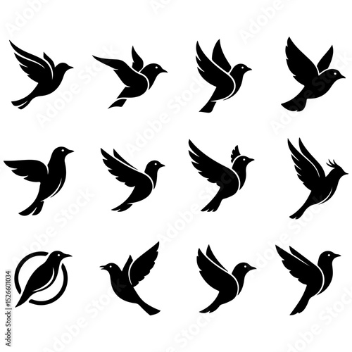 Set of birds in a circular formation symbolizing community and connection