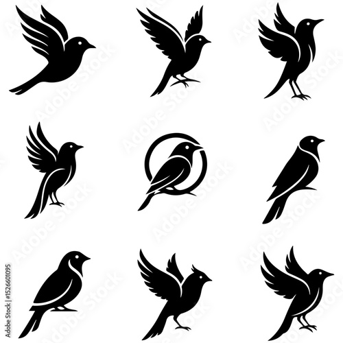 An artistic set of mythological bird creatures like phoenixes in a modern style