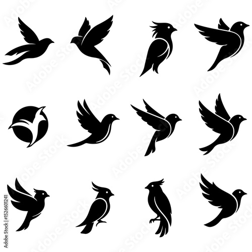 Photos A high quality editable collection of singing and chirping stylized bird graphic