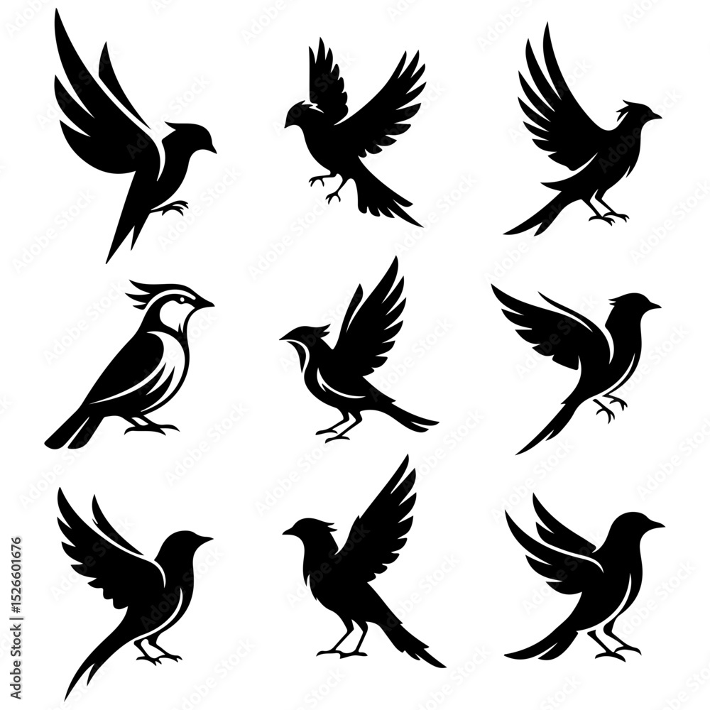 Obraz premium Feathered Forms: an artistic and abstract exploration set of high quality editable vectors