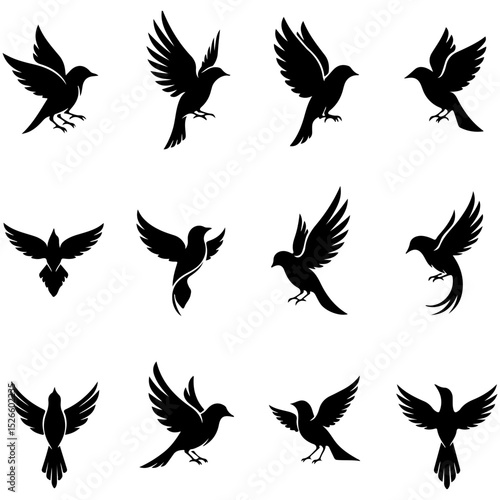 Set of beautifully minimalist, high quality editable bird elements for chic branding